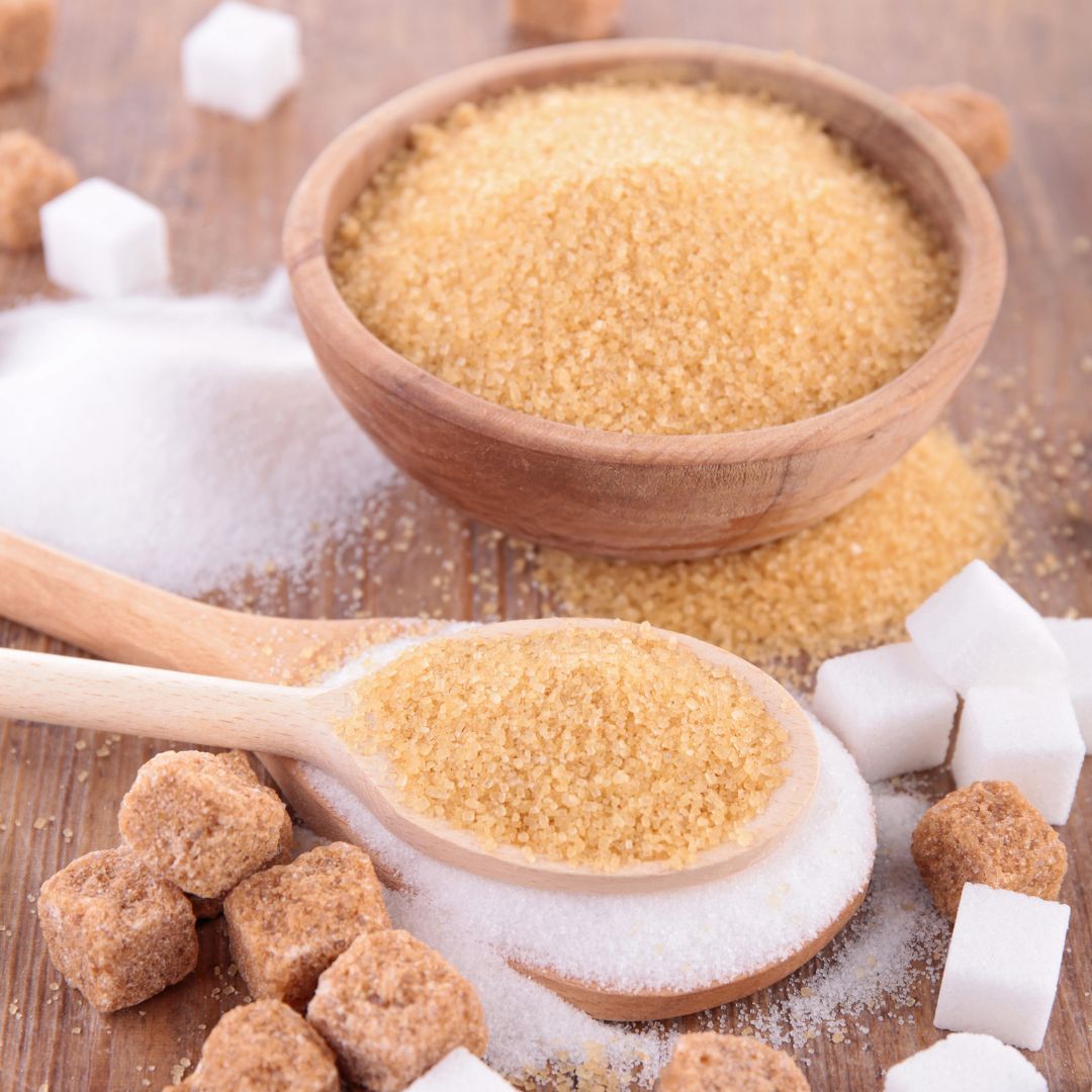 SS   Instagram   Template éducatif